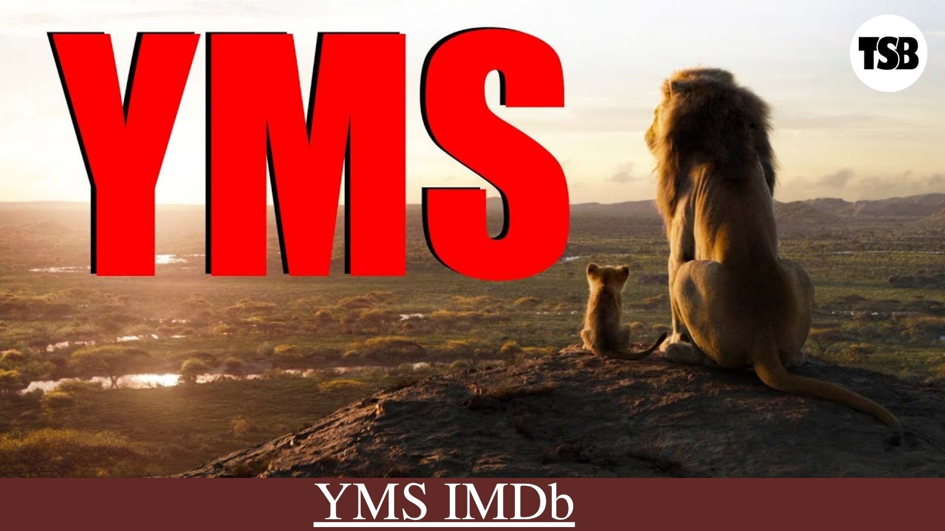 YMS IMDb